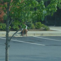 Pic #1 Stuck In Traffic #2