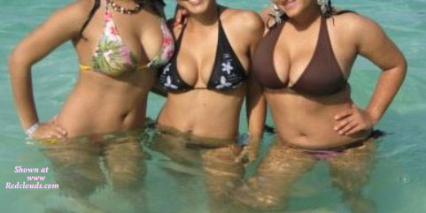 Pic #1Never Say Never