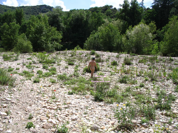 Pic #1 In The Nature