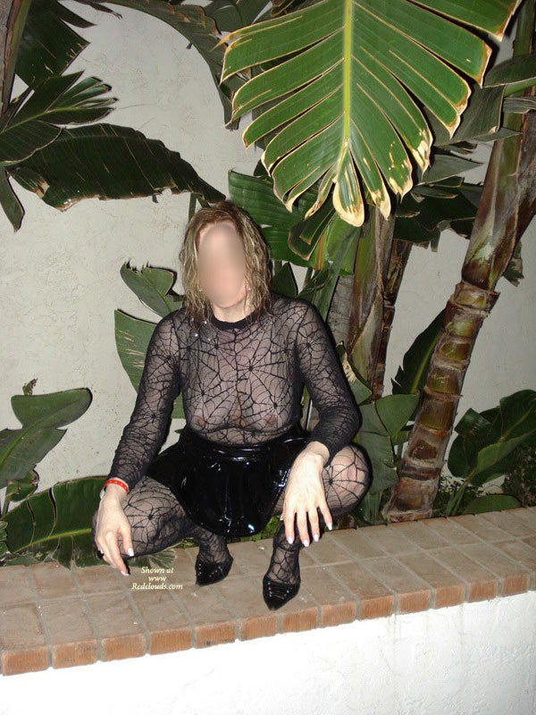 Pic #1The Queen- Gat Rosarito