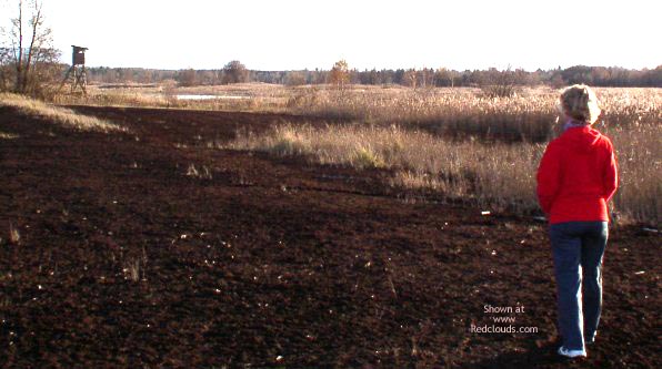 Pic #1In The Wilderness...