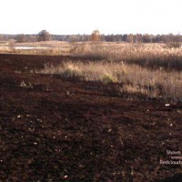 Pic #1In The Wilderness...